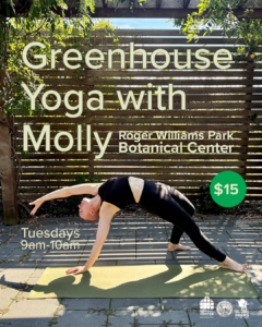 Yoga with Molly