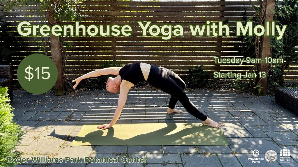 A person performs yoga in a greenhouse setting, with text promoting a class starting January 13.